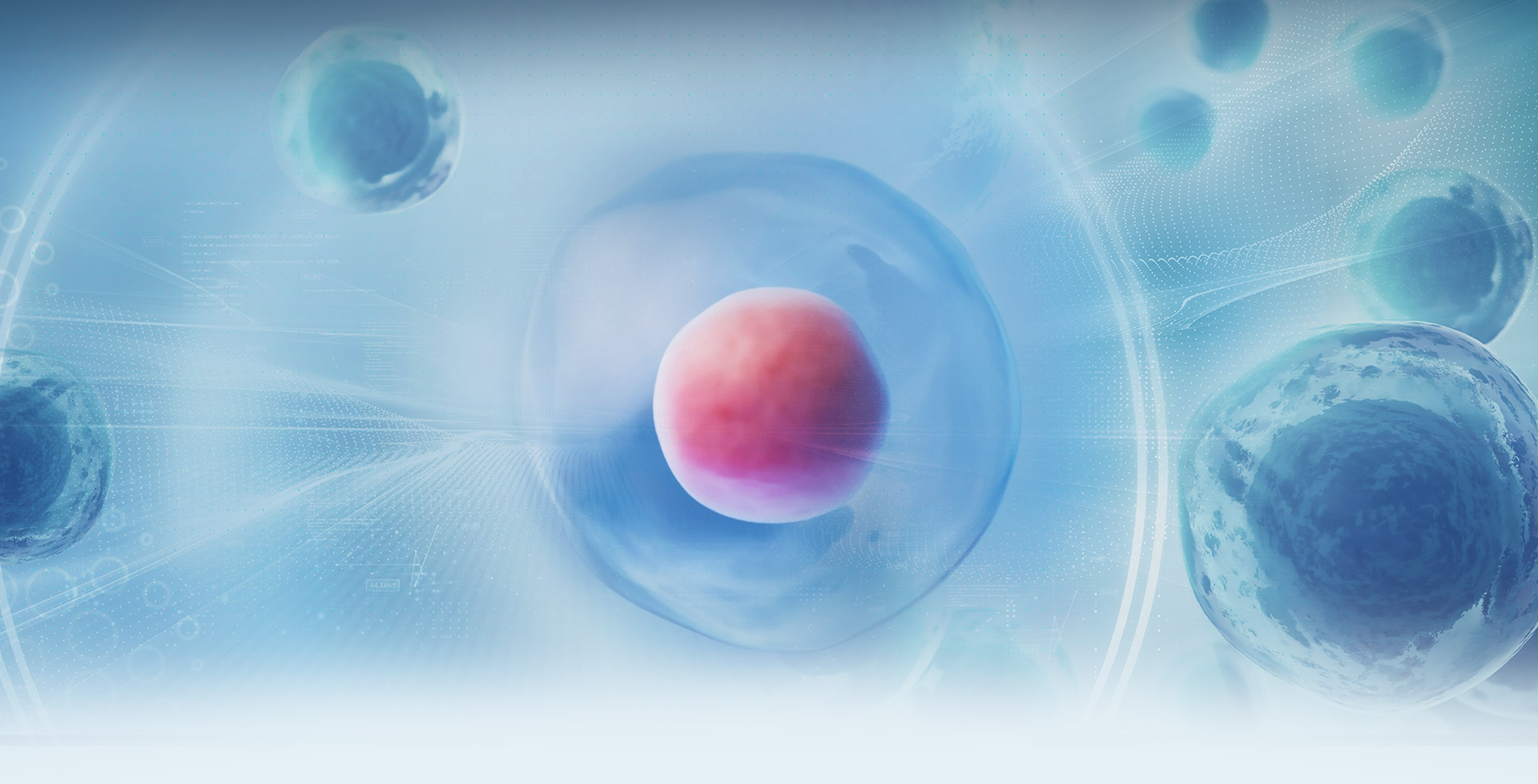 GWOXI Stem Cell