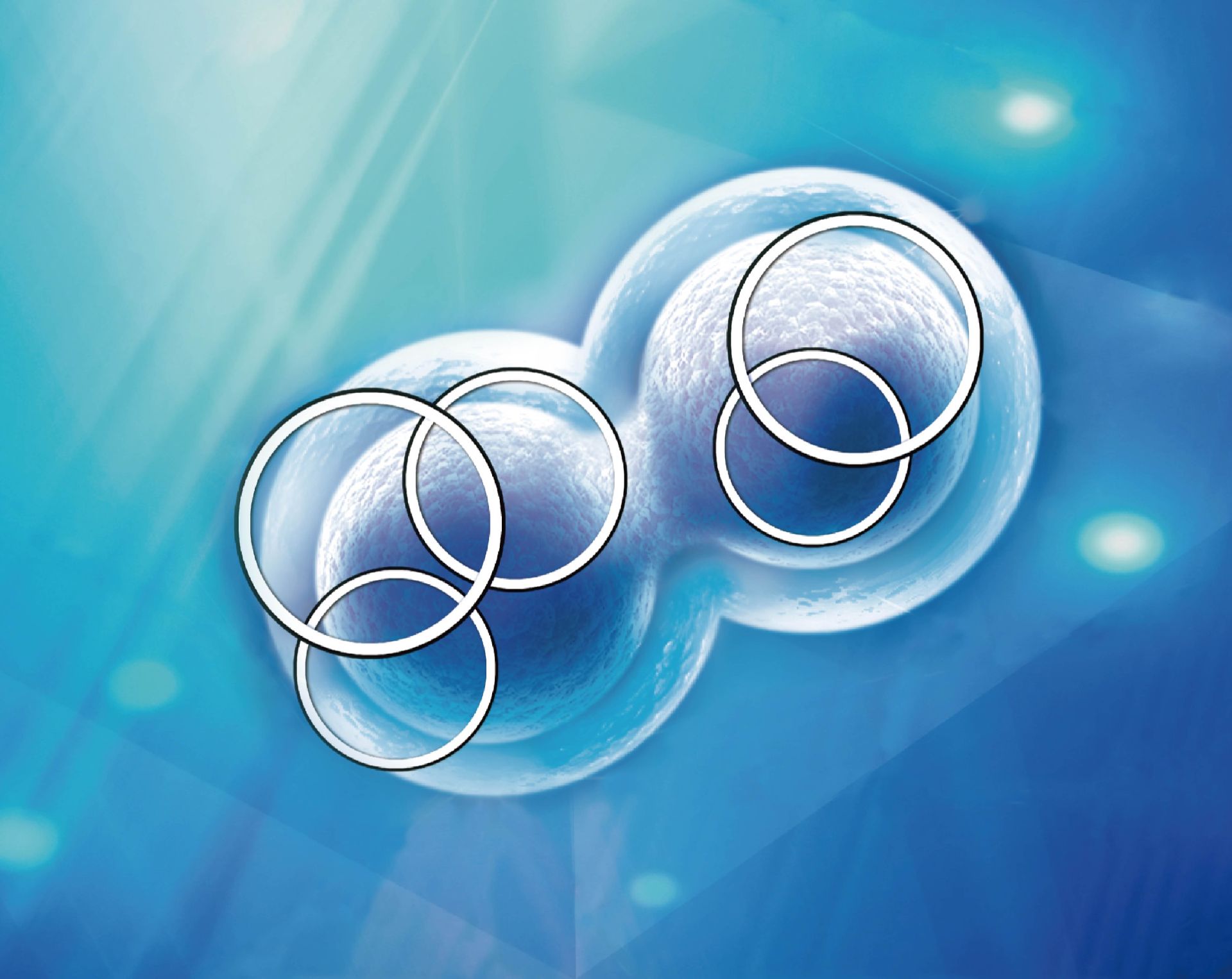 What Is Licensing Transaction in Pharmaceutical In
